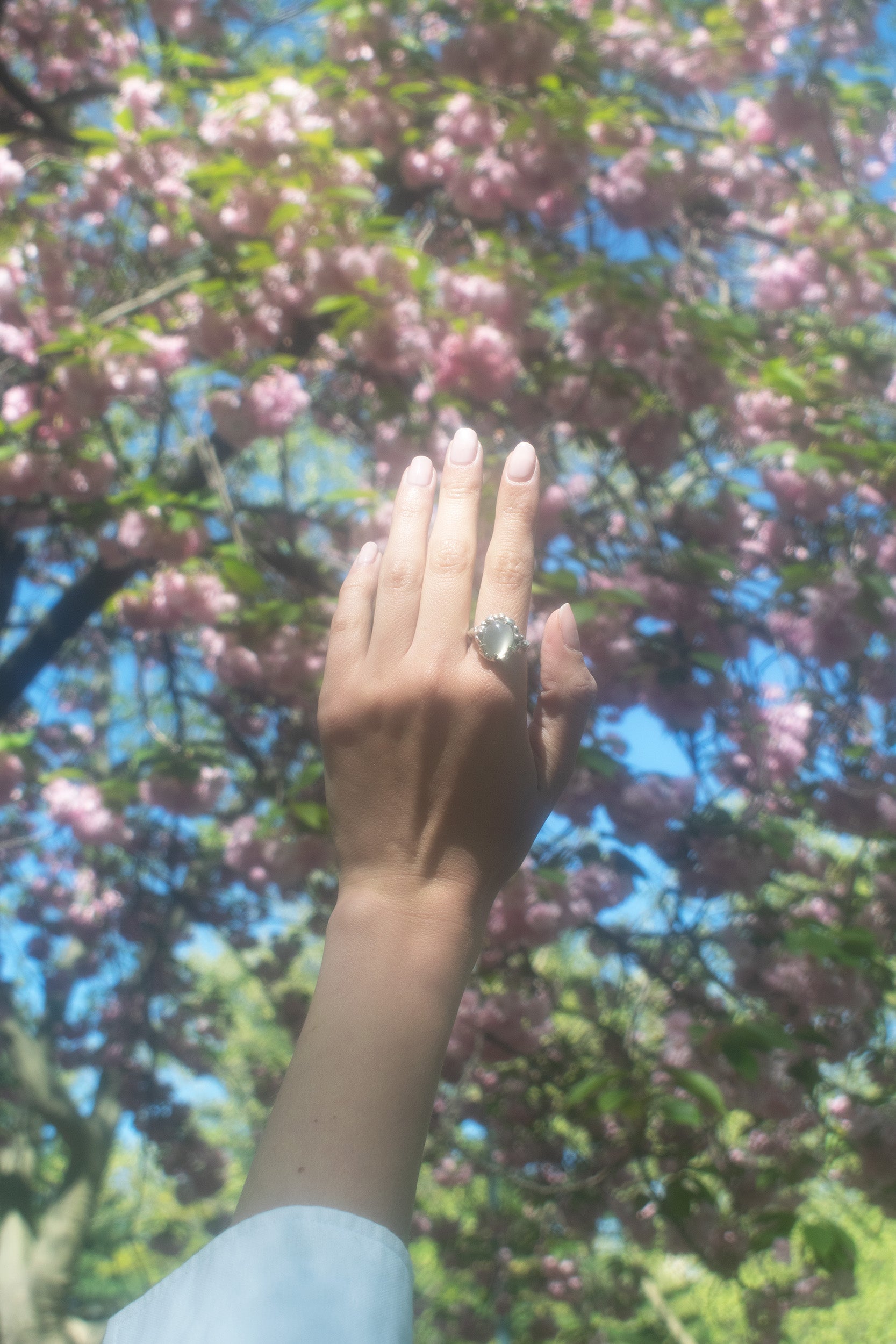 Dance of Hope
